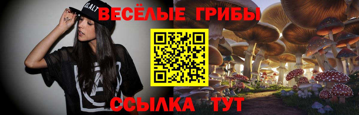Псилоцибиновые грибы MAGIC MUSHROOMS  Вход с VPN  Ковров 